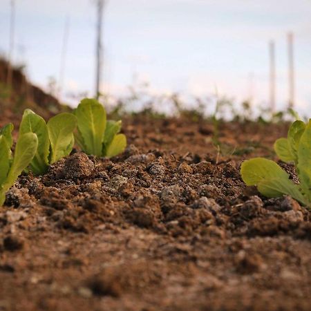 Agriturismo Biocore 2 - Colledoro Giulianova Dış mekan fotoğraf