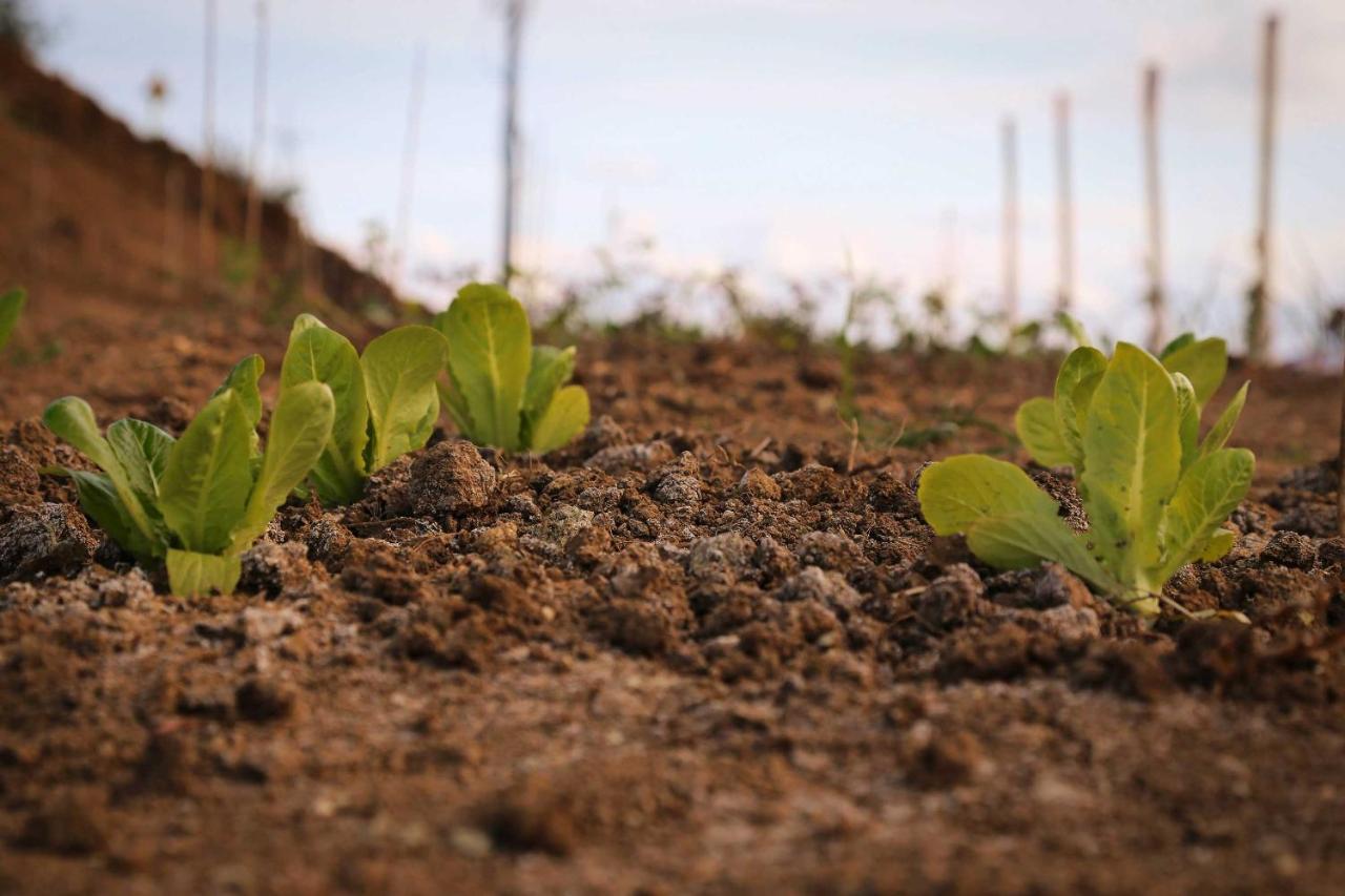 Agriturismo Biocore 2 - Colledoro Giulianova Dış mekan fotoğraf