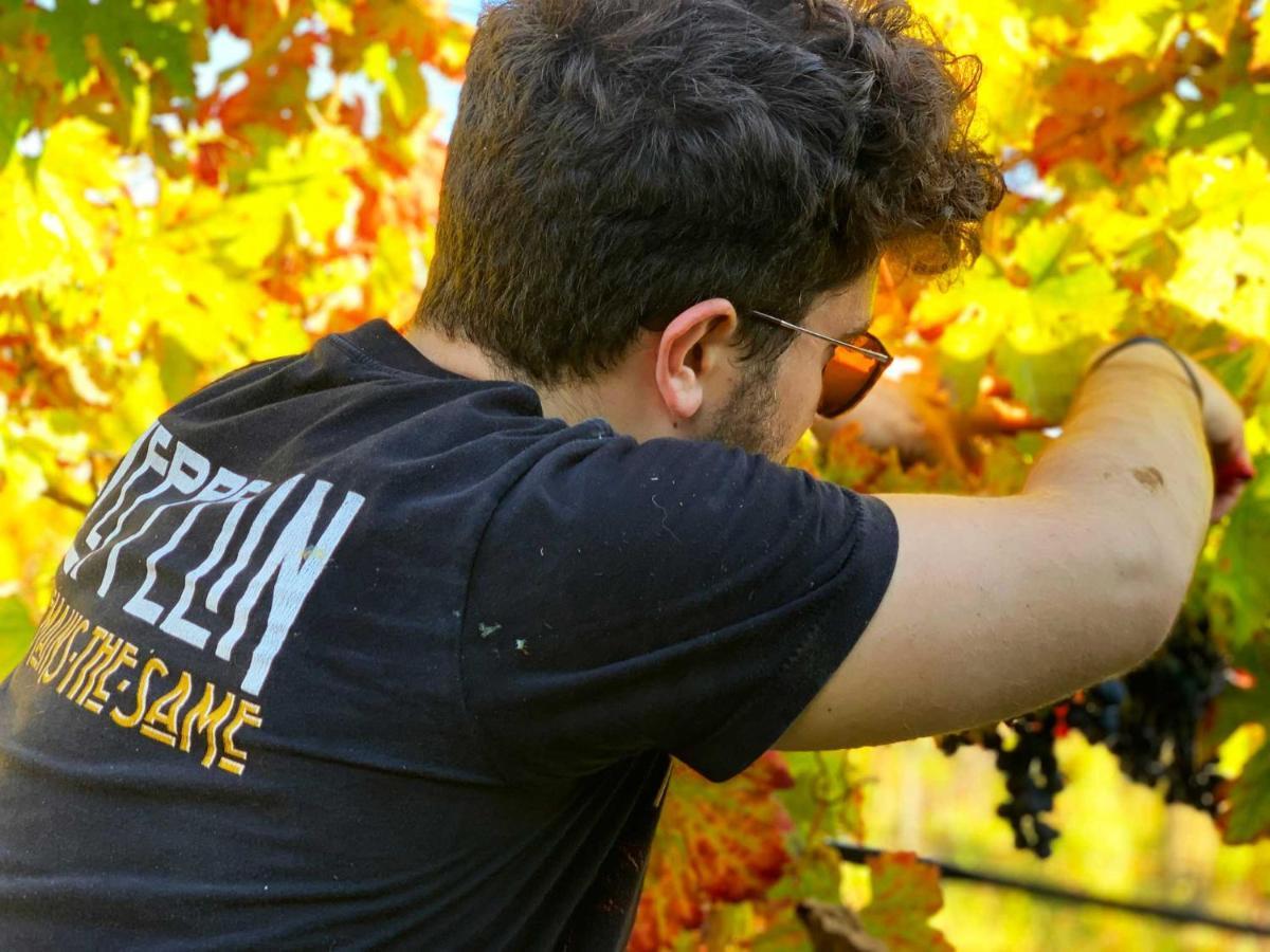 Agriturismo Biocore 2 - Colledoro Giulianova Dış mekan fotoğraf
