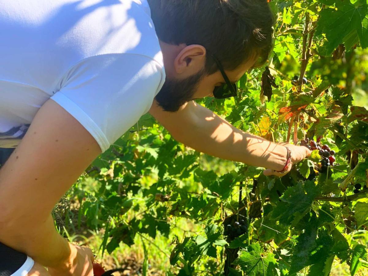 Agriturismo Biocore 2 - Colledoro Giulianova Dış mekan fotoğraf